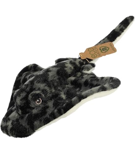 Amazon.co.jp: AQUA ぬいぐるみ マリン カメのノブユキくん S グリーン