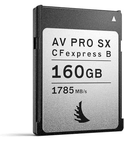 Amazon | Angelbird(エンジェルバード) AV PRO CFexpress SX Amazon | Angelbird(エンジェルバード) AV PRO CFexpress SX