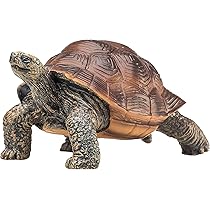 (未使用･未開封品)　サファリ レプリカ ガラパゴスゾウガメ(親) gsx453j 51NKD0tYouL.jpg_BO30,255,255,