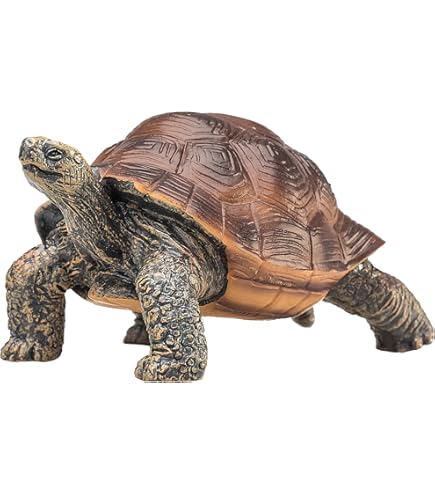 Amazon.co.jp: ウービア ヘルマンリクガメ 17×11.7×7.7㎝ 人形