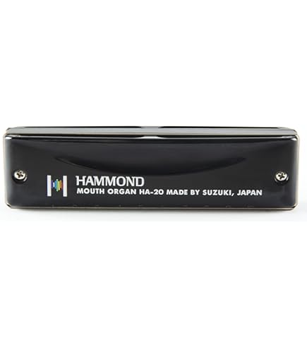 Amazon.co.jp: 鈴木(スズキ)楽器 10Hハーモニカ パイプ
