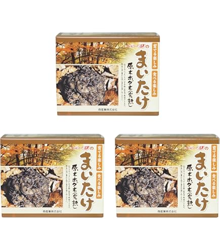 Amazon.co.jp: リーメント おさわり探偵 なめこ栽培キット んふんふ