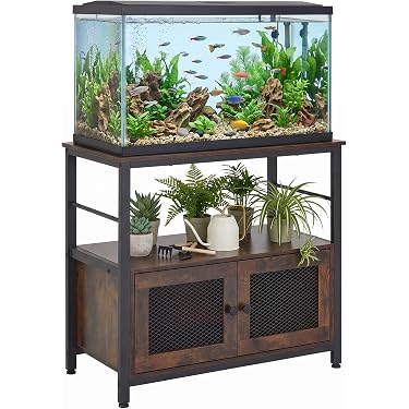 Amazon.co.jp 最新リリース: 水槽のアクセサリ の新着ランキングです。