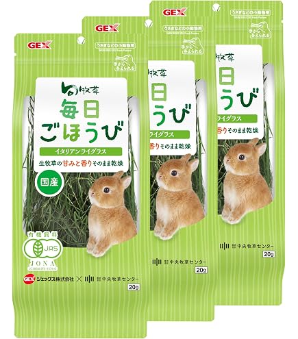 Amazon | ジェックス 旬牧草イタリアンライグラス40g | GEX