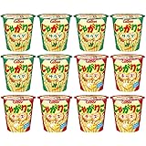 【EC限定】じゃがりこ アソートセット サラダ・チーズ 各6個（計12個)