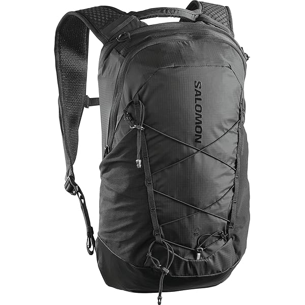 Amazon | [アークテリクス] ARCTERYX マンティス1ウエストパック