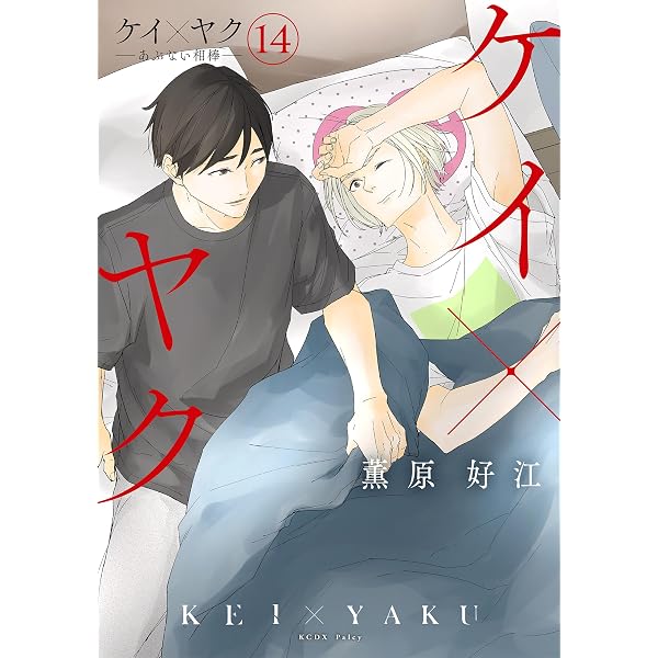 Amazon.co.jp: ケイ×ヤク －あぶない相棒－（15） (パルシィ