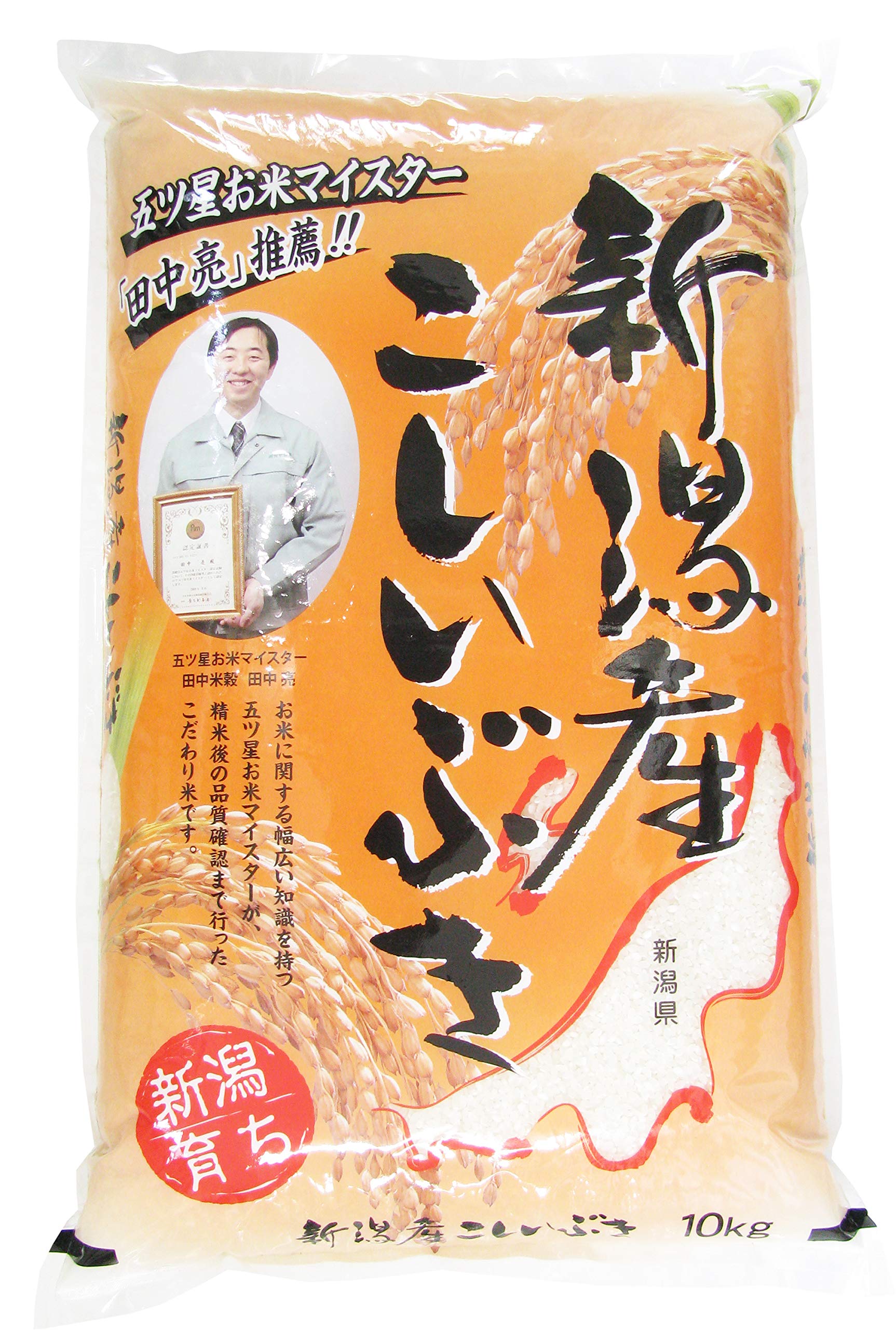 【新米】【実質6,924円】 令和7年産 新潟産 こしいぶき 10kg 【送料無料】