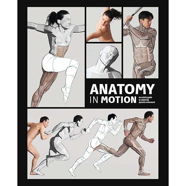 Anatomy for Artists: A visual guide to the human form : Publishing