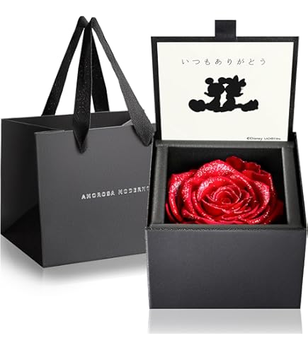 ニコライバーグマン プリザーブドフラワー small Amazon.co.jp: ニコライバーグマン プリザーブドフラワー small G