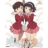 神のみぞ知るセカイ 女神篇 ROUTE 4.0 (初回限定版) [DVD]
