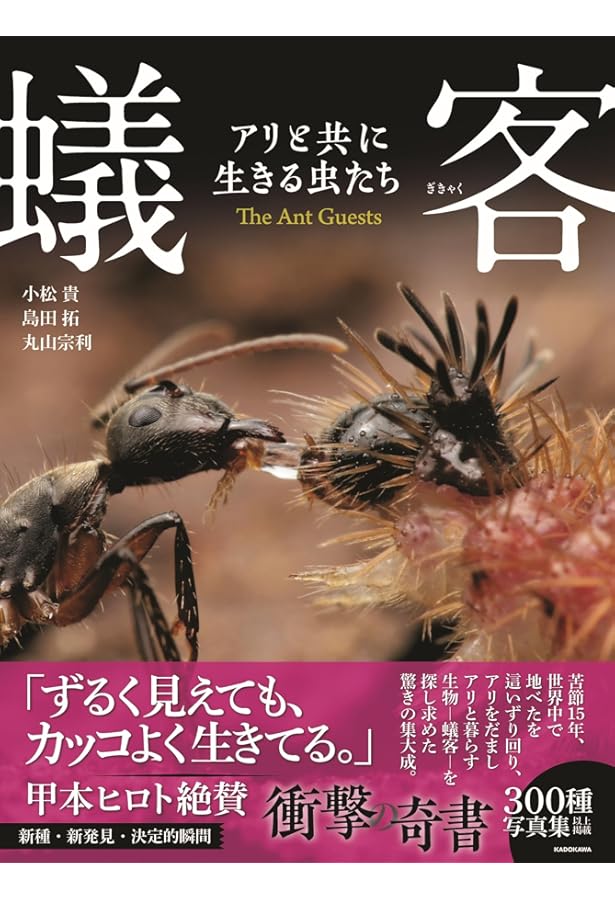 Amazon.co.jp: アリの巣の生きもの図鑑 : 丸山 宗利: 本