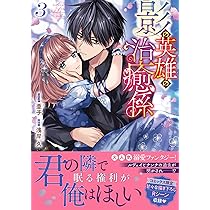 Amazon.co.jp: 影の英雄の治癒係 1巻 (ZERO-SUMコミックス) : 亜子