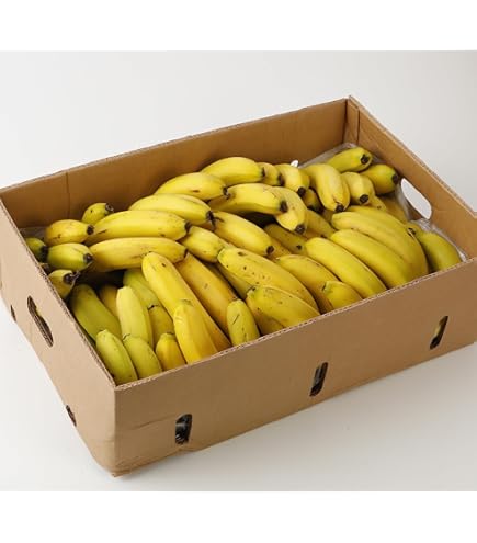 バナナ様、専用です、購入しないでください。 ばなな様専用 バナナ様専用 ばななさま専用 バナナ様、専用です、購入