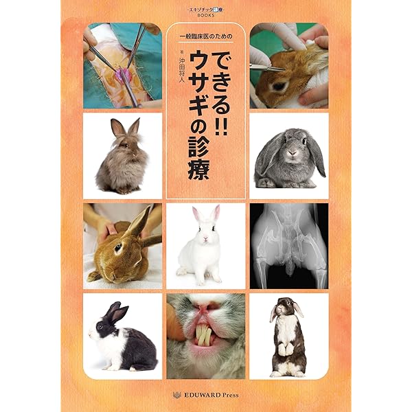 できる!!ウサギの診療 | 沖田将人 |本 | 通販 | Amazon