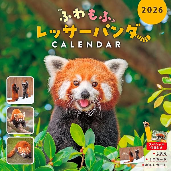 Amazon.co.jp: レッサーパンダ風太一家 : 5世代、15年の物語 : 中野