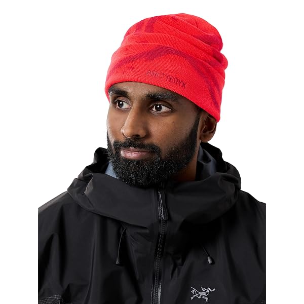 Amazon | [ARC'TERYX] Bird Head Toque Blue Tetra：Pytheas Free Size