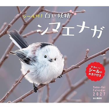 Amazon.co.jp 最新リリース: インテリアデザイン の新着ランキングです。