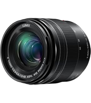 Panasonic LUMIX H-FS35100 望遠ズームレンズ H-FS35100-K デジタル一眼カメラ用交換レンズ｜デジタル一眼