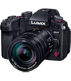 Amazon | パナソニック(Panasonic) ミラーレス一眼カメラ ルミックス