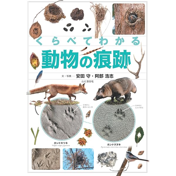 樹木生活史図鑑 | 八田 洋章 |本 | 通販 | Amazon