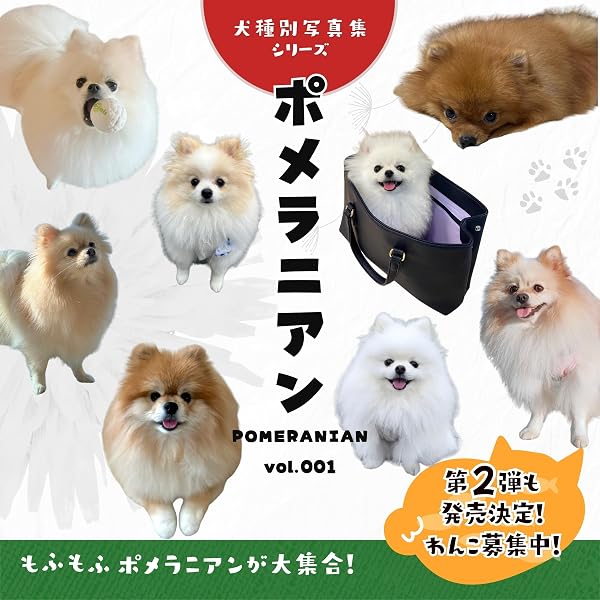 Amazon.co.jp: ポメラニアン（Pomeranian）vol.002: 犬種別写真集