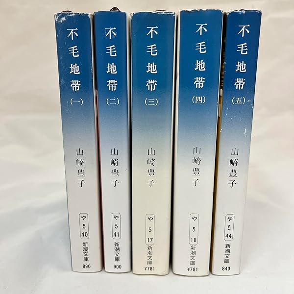 Amazon.co.jp: 二つの祖国 文庫本全4巻セット 山崎豊子 : 文房具