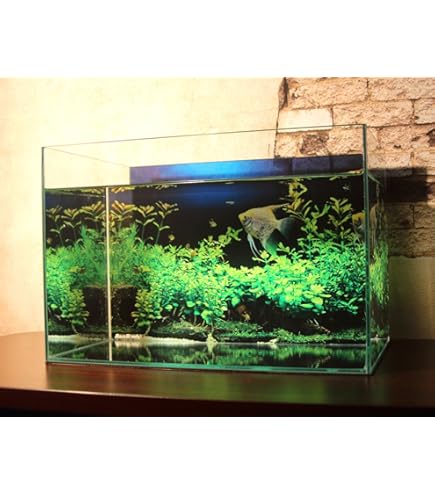 Amazon | AQUAGraphiX 水槽バックスクリーン AG-002 海底 60cm用