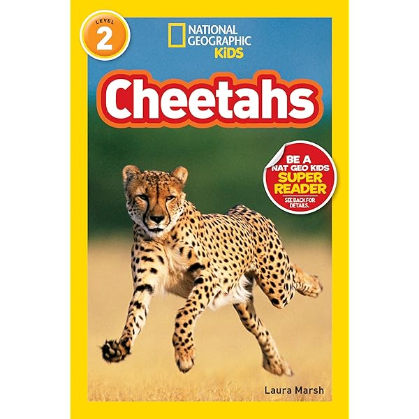 National Geographic Kids レベル2のセット41冊英語絵本 新品 41冊 National Geographic kids レベル2 英語 新品National