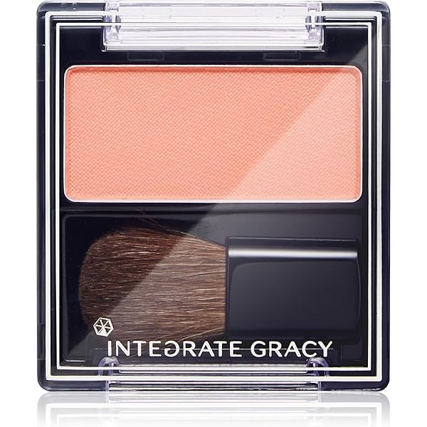 INTEGRATE チークスタイリスト RD271 2g INTEGRATE 資生堂 インテグレート (INTEGRATE) チークスタイリスト