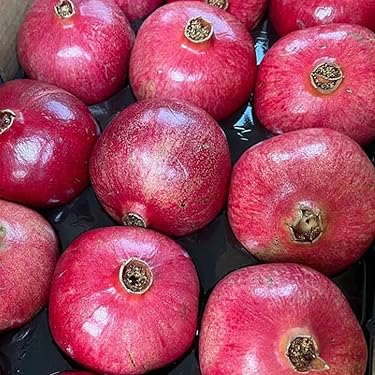 Amazon.co.jp ほしい物ランキング: ザクロ で、ほしい物リストと