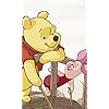 プーさん,ピグレット ディズニー - プーさん,ピグレット FVGA(480×800)壁紙 76845