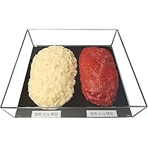 81b4RNFWSOS._AC_UL210_SR210,