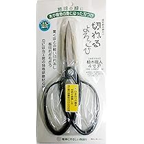 4本セット小山-木屋製　青紙鋼 4本セット小山-木屋製 青紙鋼 - メルカリ