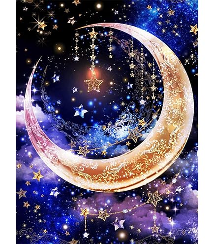 Amazon | 14CT クロスステッチ刺繍 キット《ローヌ川の星月夜》刺繍