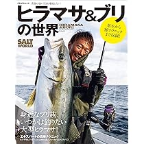 ブリ、ヒラマサ釣るなら！【ケイムラホログラムジグ250g3種セット】ダイワシマノ 81bDqRu0ygL._AC_UL210_SR210,