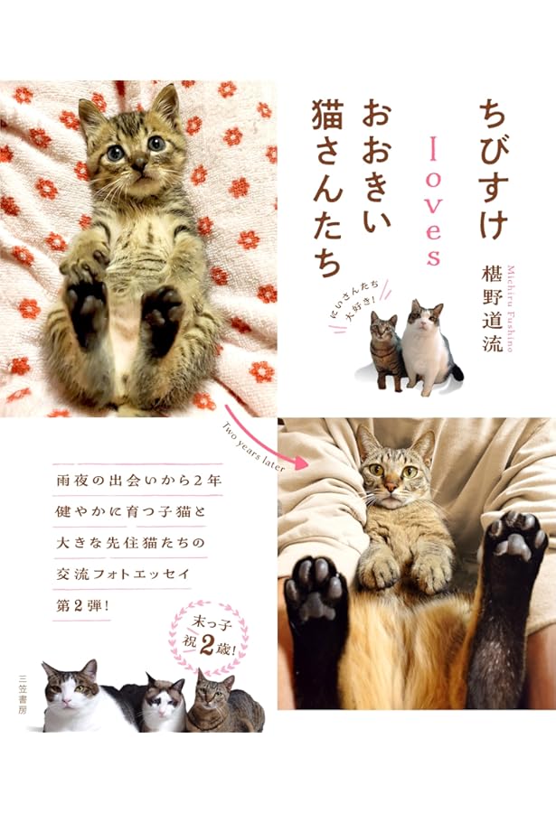 ちびすけmeetsおおきい猫さんたち (単行本) | 椹野 道流 |本 | 通販