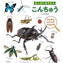 はじめてのずかん こんちゅう | 須田 研司 |本 | 通販 | Amazon