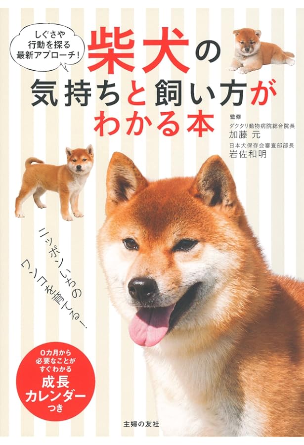 柴犬のトリセツ | 影山直美 |本 | 通販 | Amazon