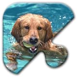 Jigsaw Puzzles Free Game - Chapter 26