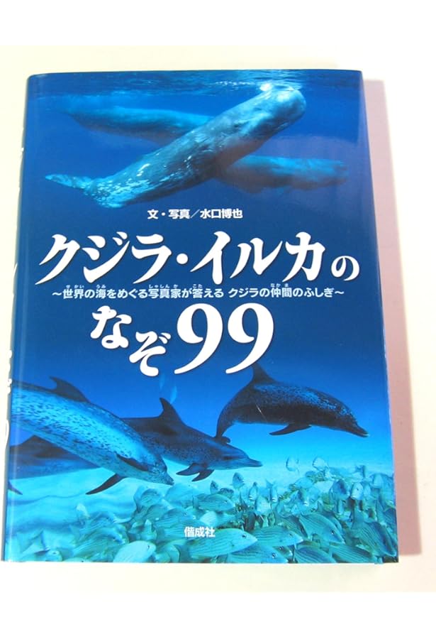 3819 外国切手 ガンビア 1996年 クジラ イルカ 4種+小型シート 3819 外国切手 ガンビア 1996年 クジラ イルカ 4種+小型シート