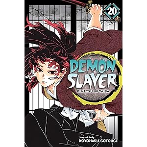 Demon Slayer: Kimetsu no Yaiba, Vol. 20 (20)