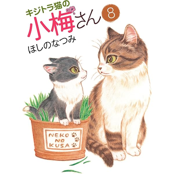 Amazon.co.jp: キジトラ猫の小梅さん（9） (ねこぱんちコミックス