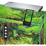 Amazon Gex クリアled Power Iii 300 明るさ500lm 色温度10 000k Led3色切り替え ライトリフト付 アクアリウム 多肉植物幅30cm水槽用 Gex クリアled ライト 照明 通販