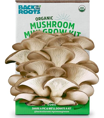 Amazon.co.jp: 100グラム/4オンス キングオイスターマッシュルーム