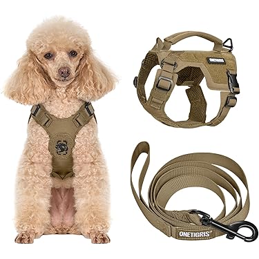 リード＆ハーネス2点SET❗️レッドミニタリー 犬 首輪 名前入り