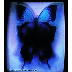 邦楽 YEN TOWN BAND diverse journey lp diverse journey : YEN TOWN BAND | HMV&BOOKS online - UMCK-1547