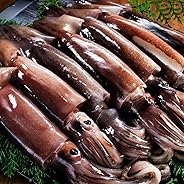 ますよね 日本海産 お刺身用 するめいか（真イカ） スルメイカ 7ハイ(1.5kg前後)