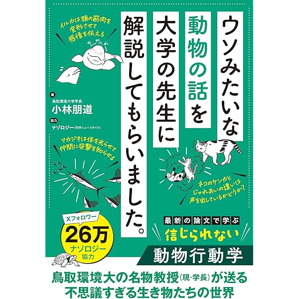 Amazon.co.jp: 先生、シロアリが空に向かってトンネルを作ってい