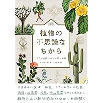 81borOd-Z7L._AC_UL210_SR210,